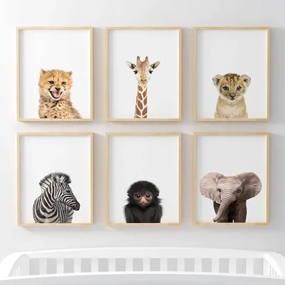 Produktbild von Set mit 6 Safari-Tier-Postern für das Kinderzimmer