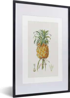 Produktbild von MuchoWow® Gerahmtes Poster Ananas - Obst - Lebensmittel 40x60 cm - Poster mit Schwarzem Bilderrahmen Wandposter Rahmen Foto Bilder - Poster in Rahmen