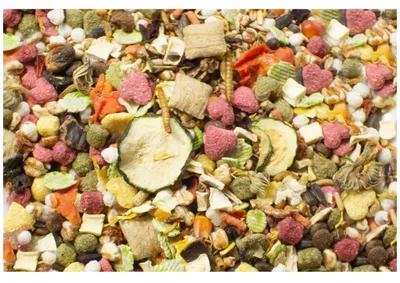 Immagine prodotto di JR Farm Food Ratte Adult 500gx6