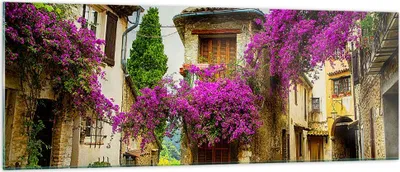 Produktbild von Bilder auf glas - Straße Sommer Blumen - 140x50cm - Glasbilder - Wandbilder - Kunstdruck - zum Aufhängen bereit - Wanddekoration aus Glas - Glas Bilder - Wandbild auf Glas - Einteilig - GAB140x50-3589