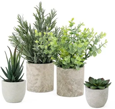 Produktbild von Kunstpflanzen Set 4-teilig, kleine Pflanzen, Eukalyptus, Dekoration