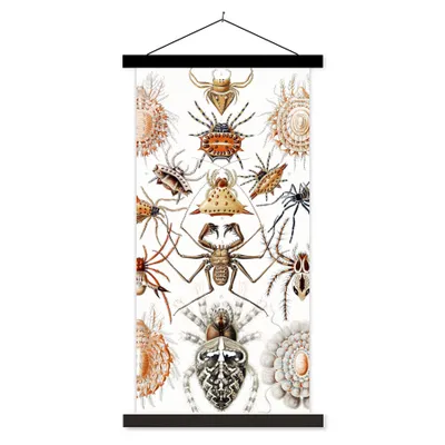 Produktbild von MuchoWow® Textilposter Retro - Spinne - Ernst Haeckel - Spinnen 40x80 cm mit schwarzem Rahmen - Wandemalerei