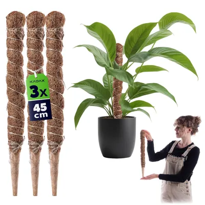 Immagine prodotto di Bastone per piantare in legno di cocco KADAX, 45 cm, supporto per vasi, 3 pezzi