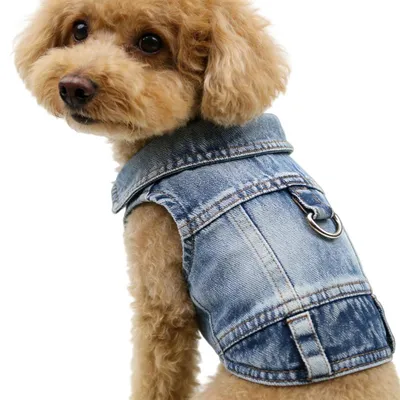 Produktbild von Hundejacke Jeans mit Metallhaken Blau XL