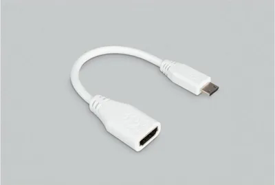 Immagine prodotto di EB84404 - Cavo da mini HDMI CM a HDMI AF standard Raspberry 10 cm bianco