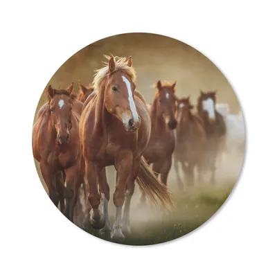Produktbild von MuchoWow® Mauspad Mousepad Pferde - Licht - Natur 20x20 cm - Mousepads - Maus Mat - Pad - Mausunterlage - Schreibtischmatte