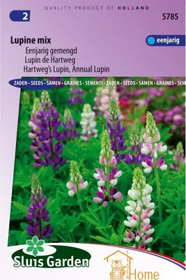 Obrázek produktu pro Vibrant Lupine Mix Seeds – barevné jednoleté květy lupiny Hartweg, pestrobarevná zahradní dekorace, ideální pro záhony a zahrady s divokými květinami