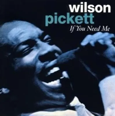 Produktbild von If You Need Me