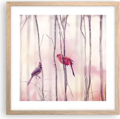 Produktbild von Gerahmtes Poster - Rahmen in heller Eiche - Vögel Kardinal Scharlachrot - 40x40 cm - Wand Bild - Wanddeko - Wandbilder - Wandposter - Bilderrahmen - Bilder - Kunstdruck - Wandbild - P2NAC40x40-4256