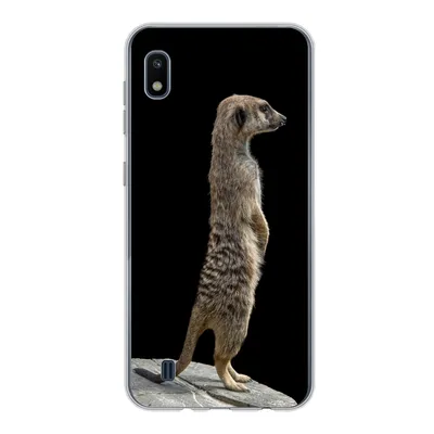 Produktbild von MuchoWow® Handyhülle Schutzhülle Hülle für Samsung Galaxy A10 Erdmännchen - Wilde Tiere - Schwarz Silikon Softcase Handy Hülle - Schutzhülle