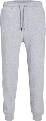 Produktbild von JACK & JONES Jogginghose Basic Relaxed Fit JPSTGORDON Größe: XS