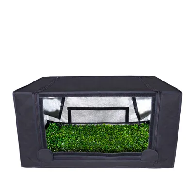 Produktbild von Garden HighPro Probox Propagator M mit 80 x 60 x 40 cm