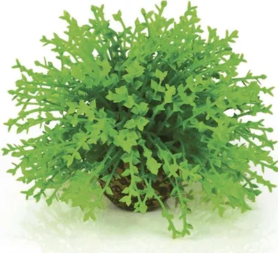 Obrázek produktu pro biOrb Flower ball green