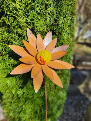Produktbild von Edelrost Blume Swetlana, breite Blätter