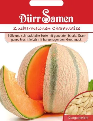Produktbild von Dürr-Samen - Zuckermelone Charantaise - Saatgut - 0913