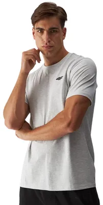 Obrázok produktu pre 4F - Pánske tričko „4FWMM00TTSHM1843“ PP6391 (XXL) (šedé)