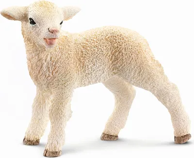 Produktbild von Schleich Schäfchen