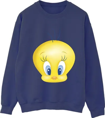 Produktbild von Looney Tunes - Sweatshirt für Herren BI33944 (L) (Marineblau)