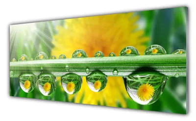 Produktbild von Acrylglasbilder 125x50 Wandbild Druck Stängel Tautropfen Pflanzen