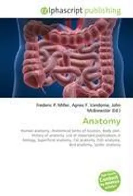 Produktbild von Anatomy