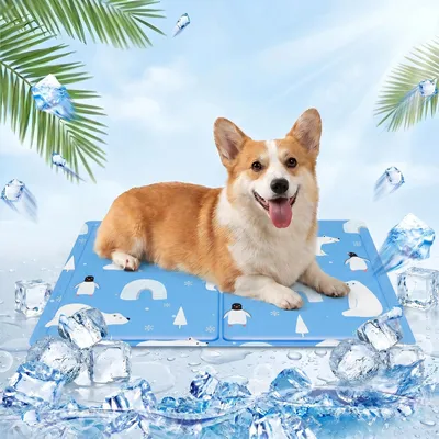 Kühlmatte für Hunde, 50x60 cm, hellblauer Eisbär, selbstkühlend