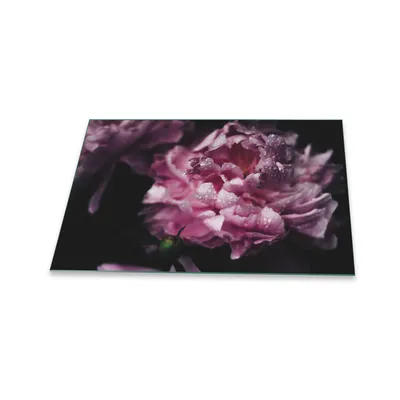 Produktbild von Herdabdeckplatte Glaskeramik 1 Teilig 80x52 Blumen Pink Abdeckung Glas Spritzschutz