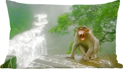 Produktbild von MuchoWow® Zierkissen Sofakissen Wohnzimmer Dekokissen 50x30 cm Schreiender Affe vor Wasserfall - Wohnzimmerdekoration - Polster mit Photo