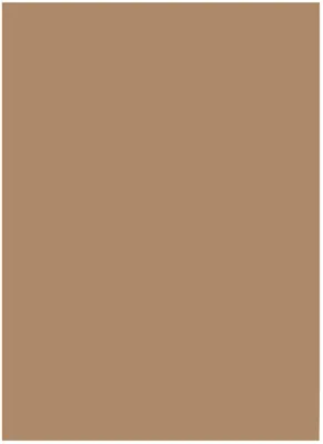 Immagine prodotto di folia 6375 folia Tonpapier, DIN A3, 130 g/qm, rehbraun