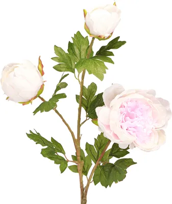 Produktbild von Deko Künstliche Pfingstrosen Rosa 3 Blüten 80cm 2St