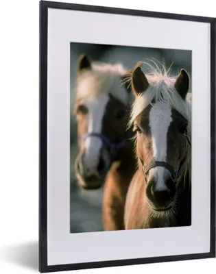 Produktbild von MuchoWow® MuchoWow® Gerahmtes Poster Zwei Haflingerpferde 30x40 cm - Poster mit zchwarzem Bilderrahmen - Wandposter Schlafzimmer