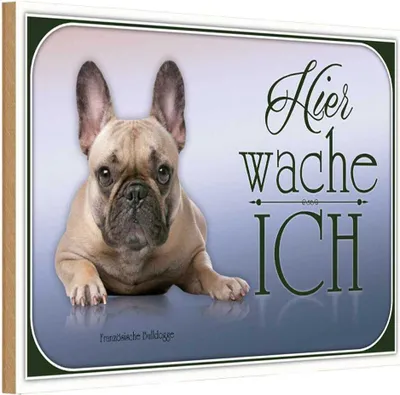 Produktbild von vianmo Holzschild 12x18 cm Hund Französische Bulldogge hier Tier Haustier