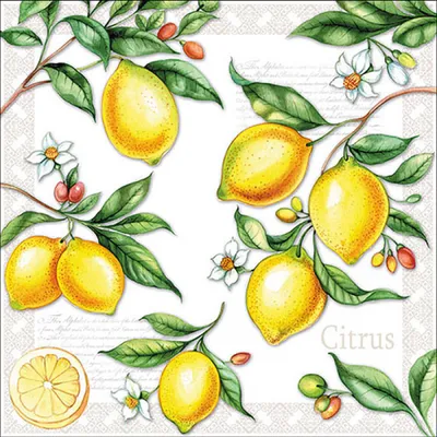 Produktbild von Servietten Papier 33x33cm 3-lagig mit Zitronen & Blüten Motiv 20 Stk.