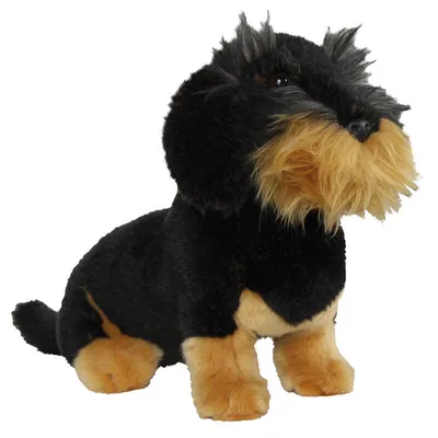 Immagine prodotto di Bassotto, Rauhaardackel seduto nero ca. 30 cm di Carl Dick 3443 peluche, peluche, peluche