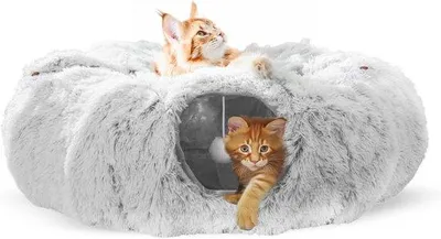 Image de Grande cage tunnel pour chat avec coussin, pour l'intérieur