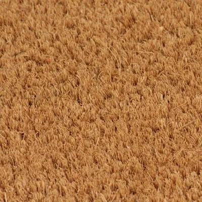 Image de vidaXL Paillasson Nature 50x80 cm Fibre de coco Tufetée