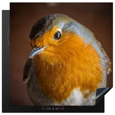 Produktbild von KitchenYeah© Herdabdeckplatte Rotkehlchen - Porträt - Vogel , 78x78cm, Küche Deko, Glaskeramikkochfeld Herdabdeckung, Abdeckplatte fùr Kochfeld