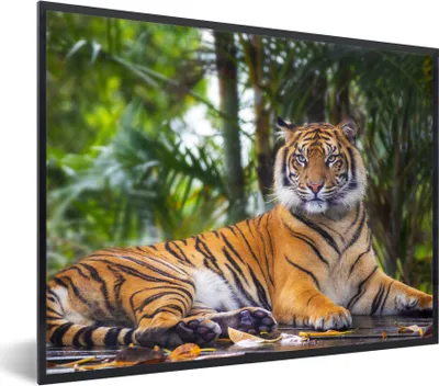Produktbild von MuchoWow® Gerahmtes Poster Tiger - Tiere - Wald - Dschungel 40x30 cm - Poster mit Schwarzem Bilderrahmen Wandposter Rahmen Foto Bilder - Kunstposter - Wanddekorationen