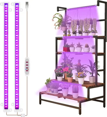 A multi-tiered plant stand with plants under purple grow lights.