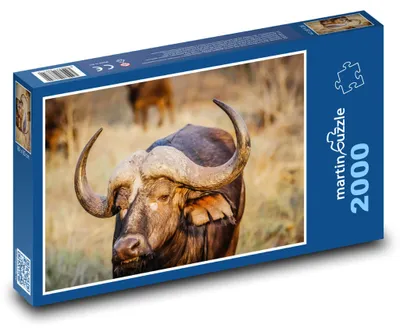 Obrázok produktu pre martinpuzzle – Puzzle 2000 – Africký buvol – živocích, cicavec