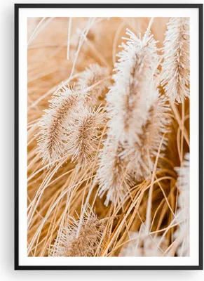 Produktbild von Gerahmtes Poster - Schwarzer Rahmen - Gras Boho Licht - 70x100 cm - Wand Bild - Wanddeko - Wandbilder - Kunstposter - Wandposter - Bilderrahmen - Bilder - Kunstdruck - P2BPA70x100-4903