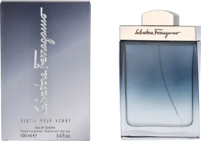 Produktbild von Salvatore Ferragamo Subtil 100 ml, Männer, 100 ml