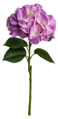 Produktbild von G.blümt Künstliche Hortensien 64 cm lang, Kunstblumen Real Touch wie echt, Pinkes Lila 1 Stück