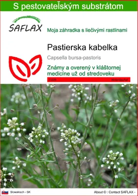 Obrázok produktu pre SAFLAX - pastierska kabelka - Capsella bursa-pastoris - 1000 Semená - S pestovateľským substrátom bez klíčkov
