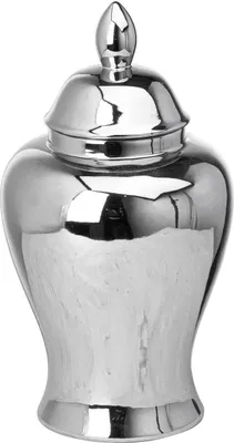 A silver ginger jar on a white background.