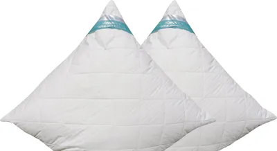 Produktbild von 2 Stück Betten Hofmann Allergiker Kopfkissen Faserkissen 80x80 cm Reißverschluss