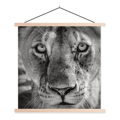 Produktbild von MuchoWow® Textilposter Tierprofil Löwin in schwarz und weiß 40x40 cm mit holzfarbenen Rahmen - Posterleiste