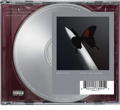 Obrázek produktu pro Post Malone - Twelve Carat Toothache - - (CD / T)