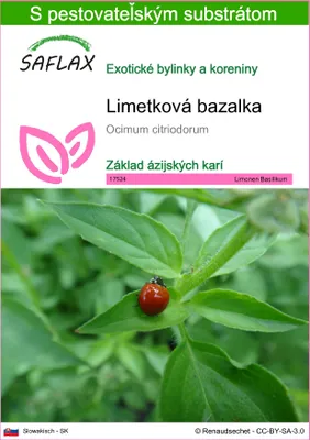 Obrázok produktu pre SAFLAX - Limetková bazalka - Ocimum citriodorum - 200 Semená - S pestovateľským substrátom bez klíčkov