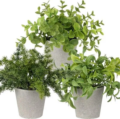 Immagine prodotto di Famanu, set di 3 piante artificiali - decorazioni per interni