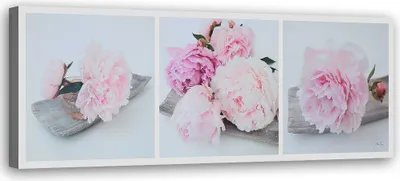 Produktbild von Leinwandbild rosa pfingstrosenblüten 90x30 cm Feeby rosa wandbild bereit zum aufhängen
